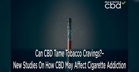 Can CBD Tame Tobacco Cravings?- New Studies On How CBD May Affect Cigarette Addiction